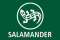 Salamander