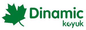 DINAMIC